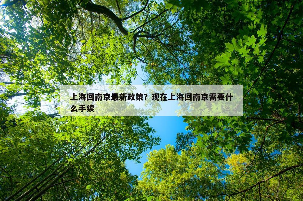 上海回南京最新政策？现在上海回南京需要什么手续