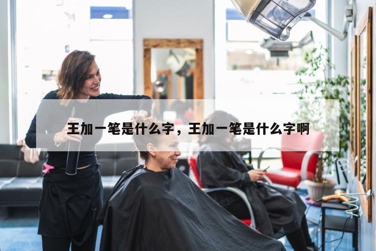 王加一笔是什么字，王加一笔是什么字啊