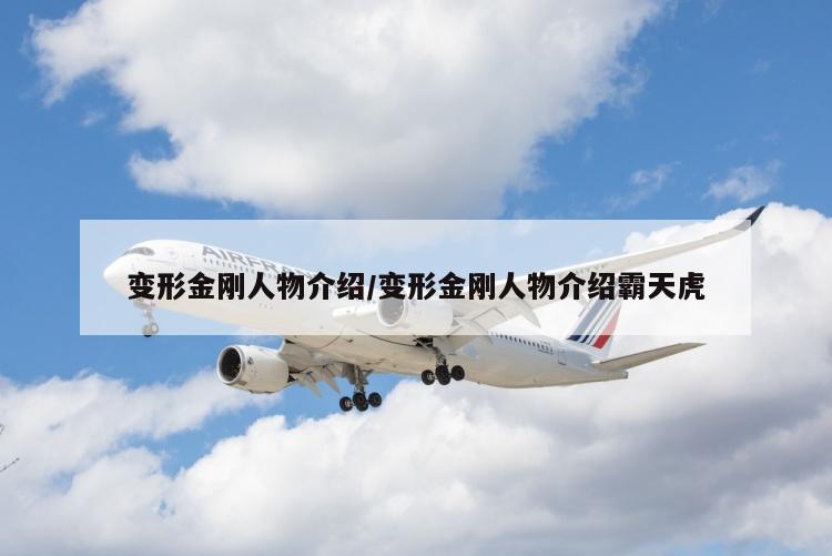 变形金刚人物介绍/变形金刚人物介绍霸天虎