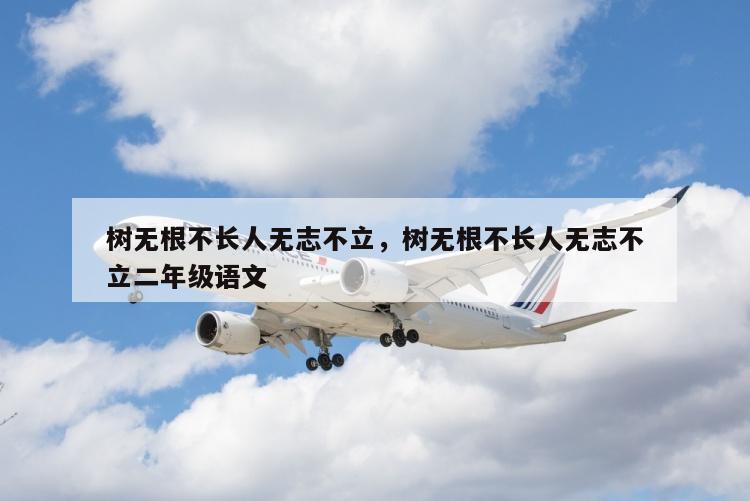 树无根不长人无志不立，树无根不长人无志不立二年级语文