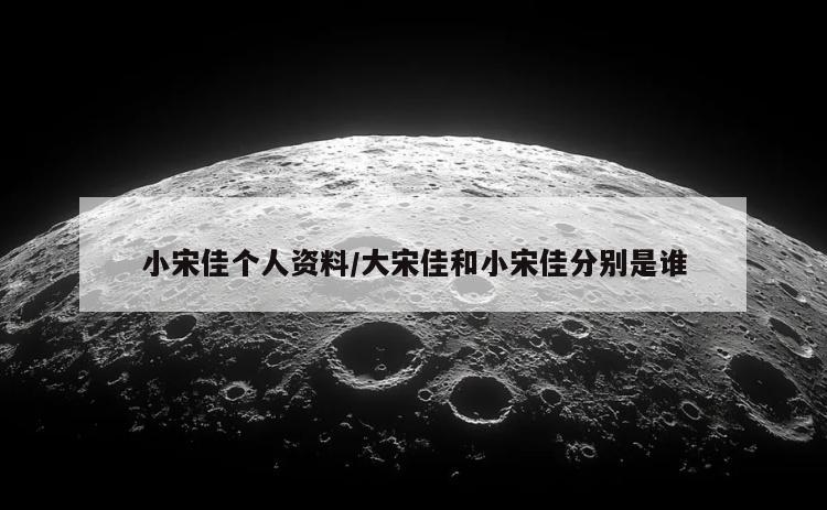 小宋佳个人资料/大宋佳和小宋佳分别是谁