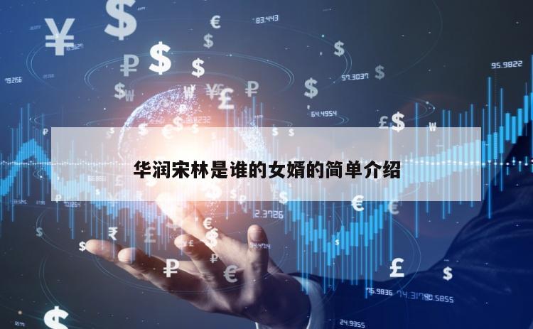 华润宋林是谁的女婿的简单介绍
