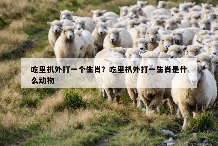 吃里扒外打一个生肖？吃里扒外打一生肖是什么动物
