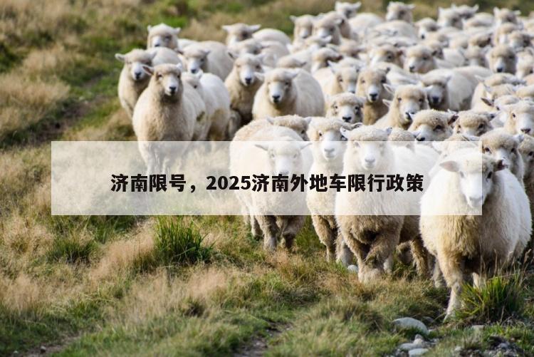 济南限号，2025济南外地车限行政策